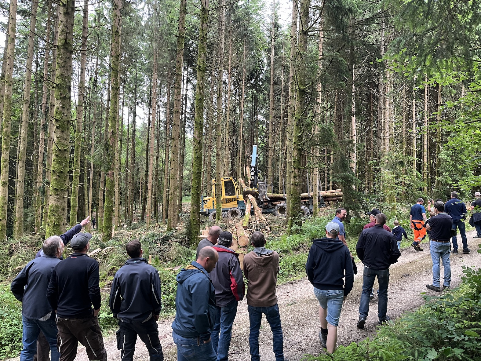 Forwarder bei der Arbeit